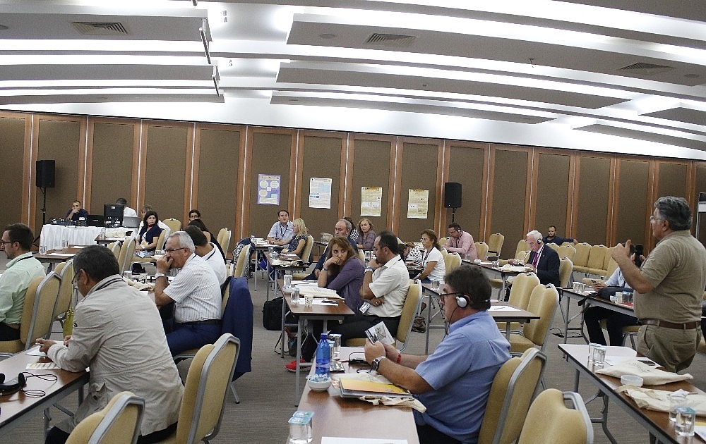 "Dünyada ve Türkiye'de üretilen balın yüzde 25-30'u sahte "