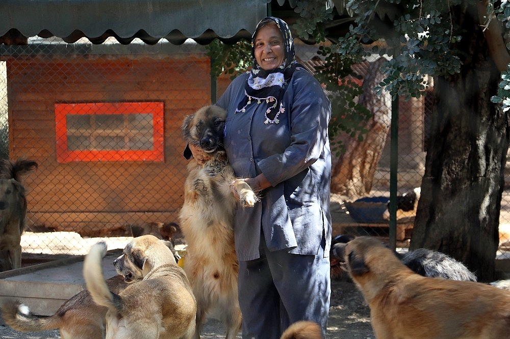 Engelli sokak köpeklerine özel bakım (Videolu)