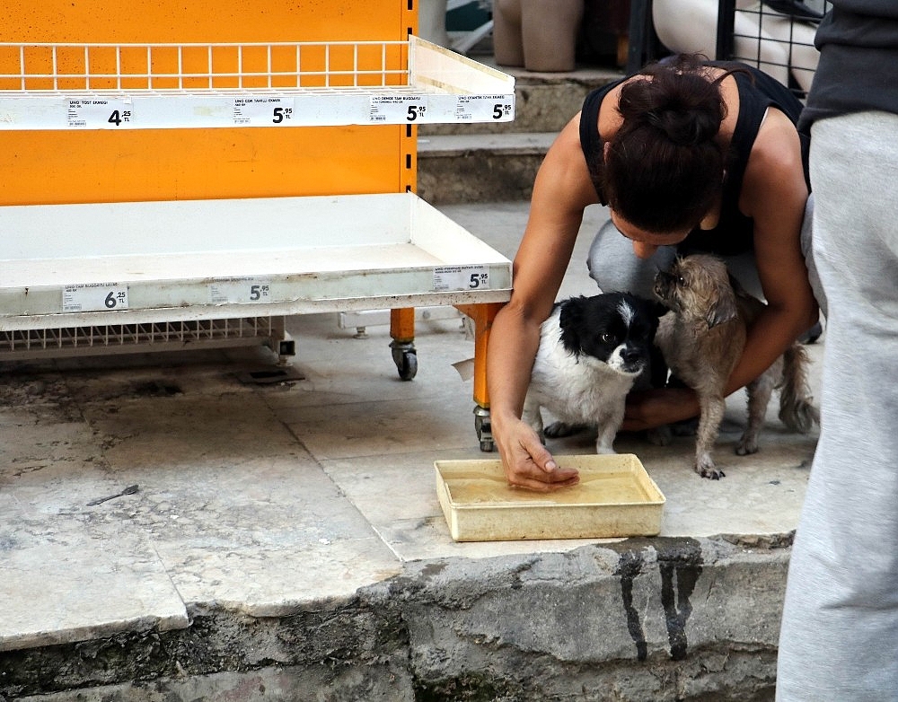 Kedi, köpek ve papağanlar yanmaktan son anda kurtarıldı! (Videolu)