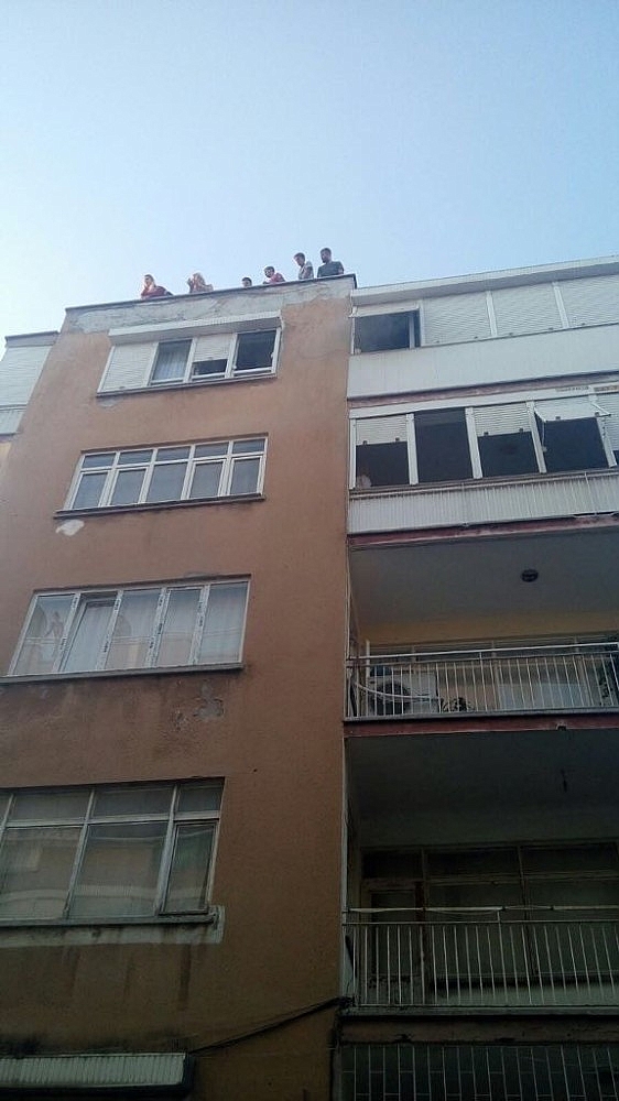 Kedi, köpek ve papağanlar yanmaktan son anda kurtarıldı! (Videolu)