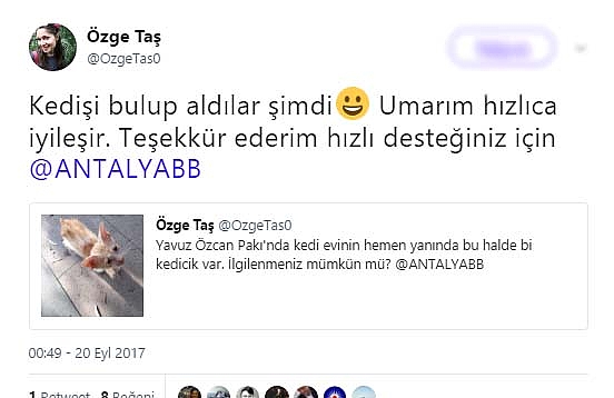 Büyükşehir minik kediye acil yardım