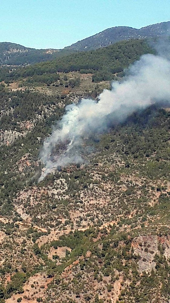 Alanya'da orman yangını!