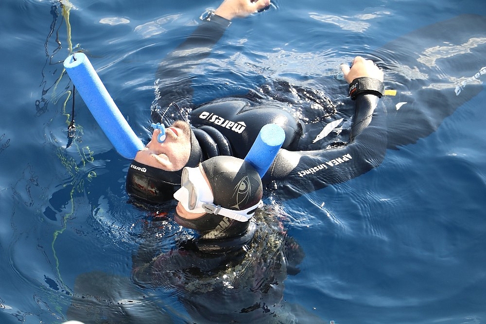 Antalya, dünyanın en iyi dalış sporcularına ev sahipliği yapıyor