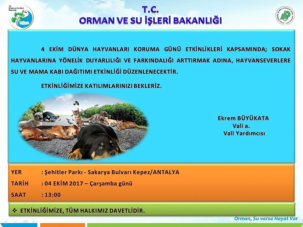 Hayvanseverlere 4 Ekim daveti