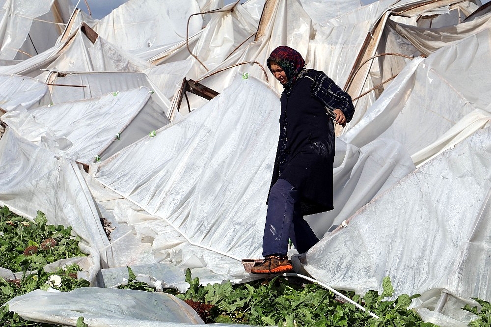 Hortum seraları hasat zamanında vurdu