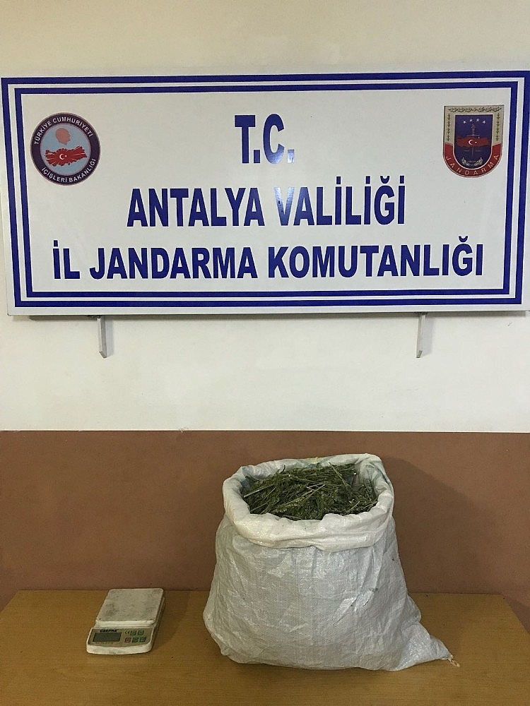 Jandarma'dan kaçak içki, kaçak sigara ve uyuşturucu operasyonu!