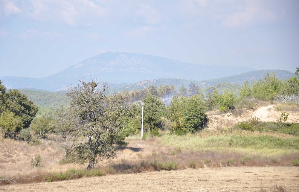 Manavgat'ta 2 ayrı orman yangını!