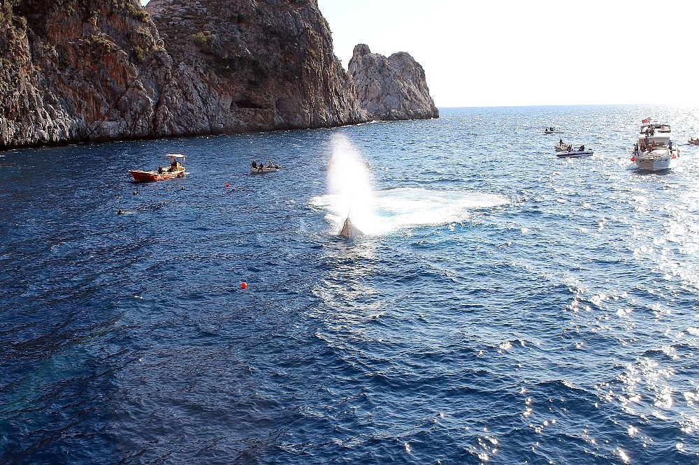 Sahil Güvenlik Gemisi dalış turizmi için batırıldı