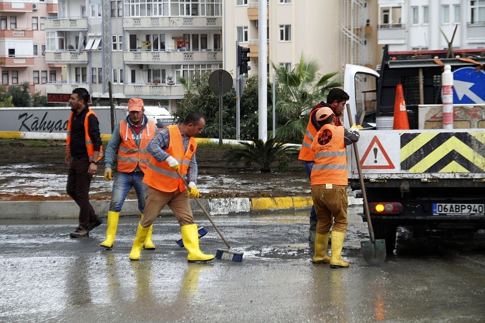 Yağmura dayanamayan dev ağaç taksinin üzerine devrildi