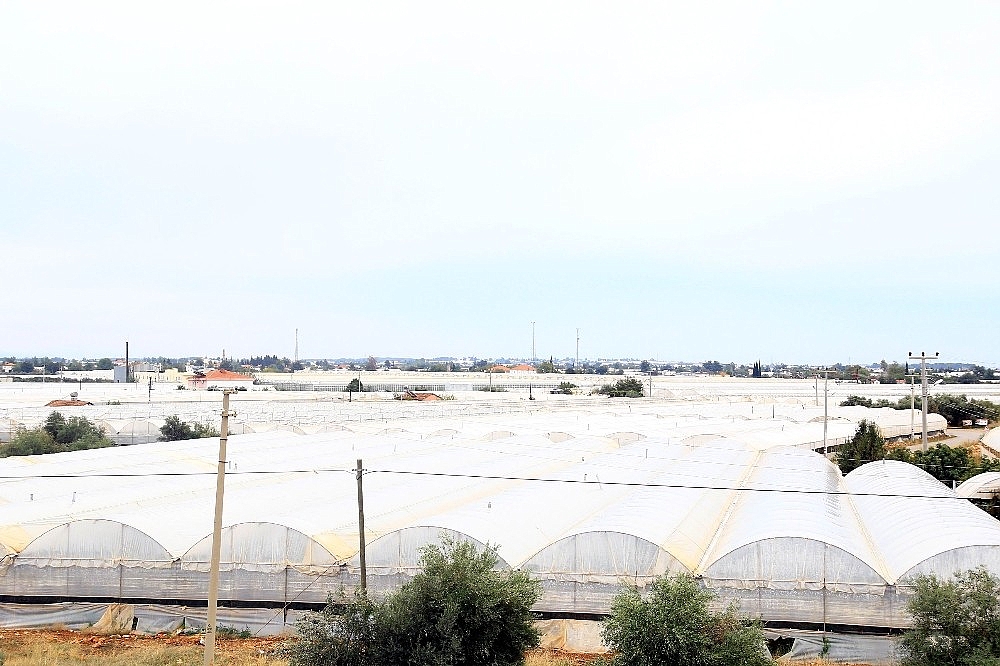 Antalya'da 250 bin dönümlük seradan 170 bin kişi geçimini sağlıyor