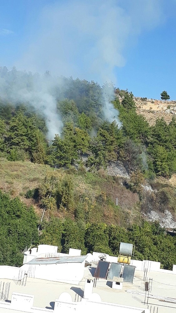 Alanya'da orman yangını korkuttu!