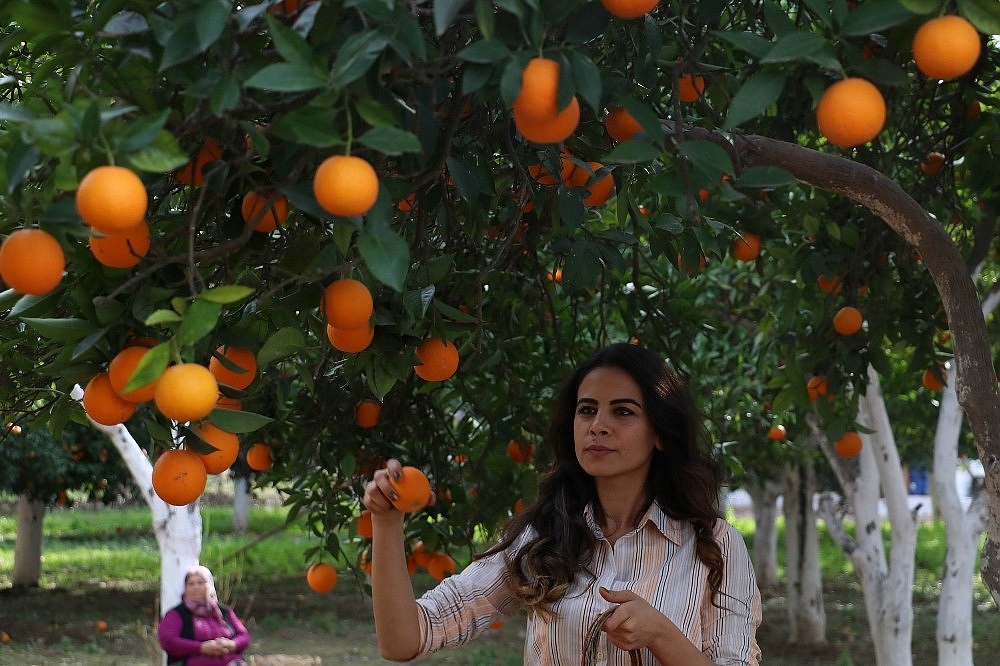 Antalya'da portakal kabuklarına sanatsal dokunuş