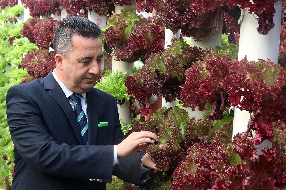 Dikey topraksız tarım ile 9 dönem ürün alıyor