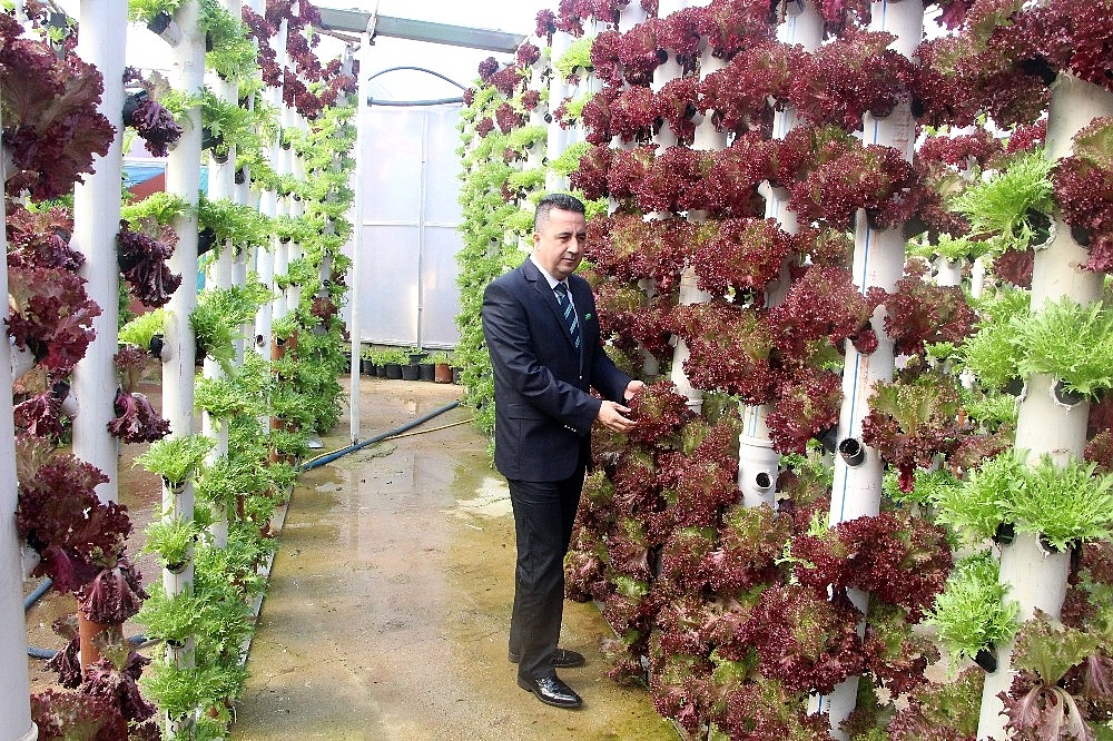 Dikey topraksız tarım ile 9 dönem ürün alıyor