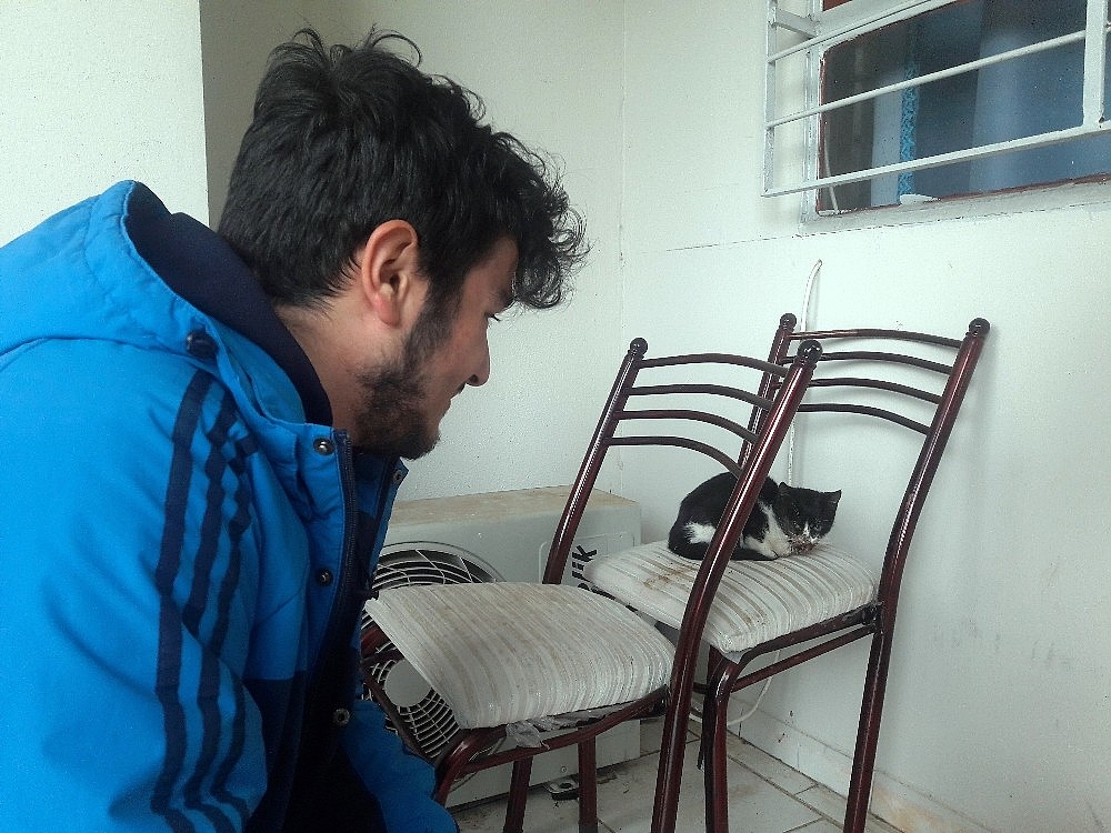 Hayvansever öğrenci minik yavruyu kurtardı