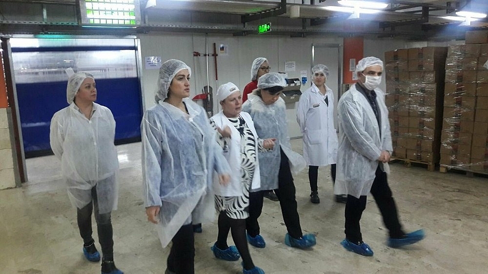 Antalya Halk Ekmek'ten 724 üretim