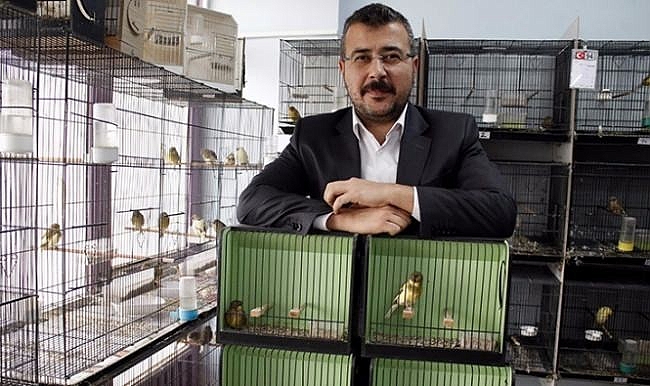 Avukat Çetin'in Kanaryaları dünya birincisi