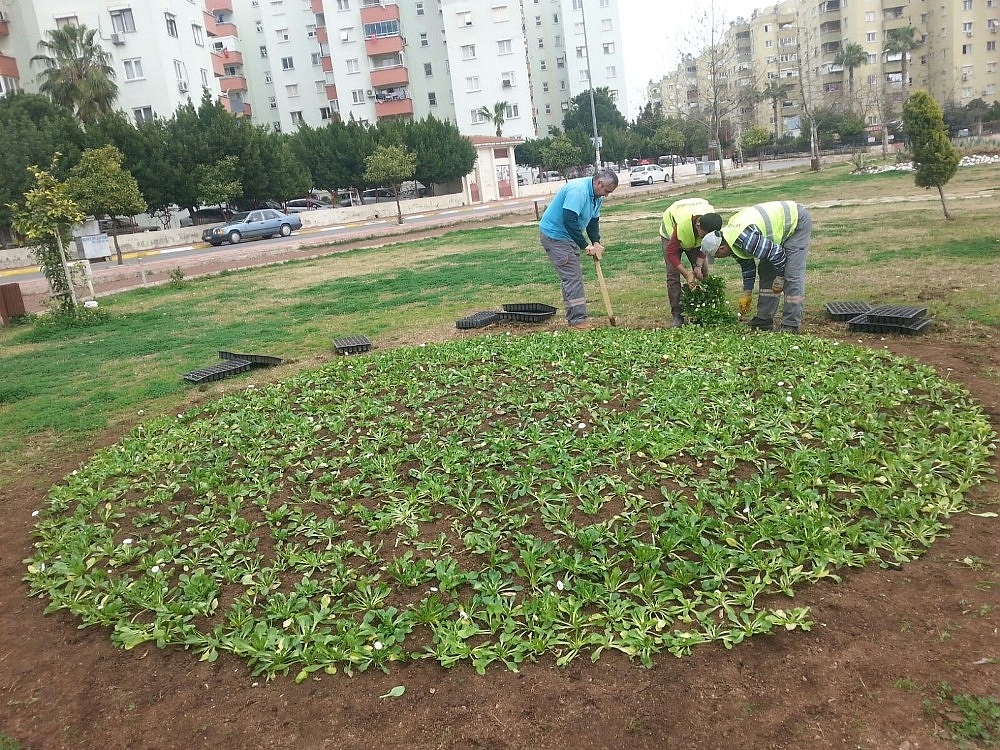 Kepez'de yeşil alan rekoru kırdı