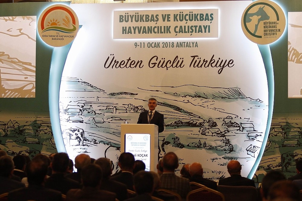 Koçak: "Hayvancılık sektörünün önü açık"