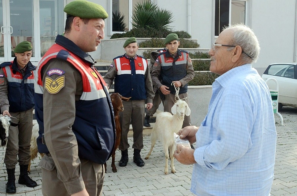 Antalya'da küçükbaş hayvan hırsızları yakalandı!