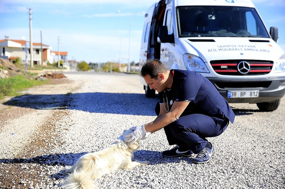 Büyükşehir Belediyesi Hayvan ambulansı 724 hizmette