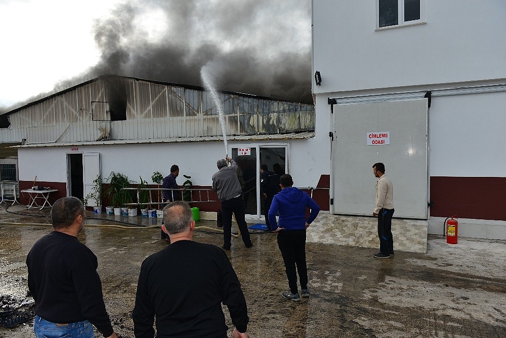 Fide Üretim tesisinde yangın!
