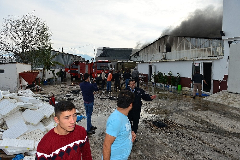 Fide Üretim tesisinde yangın!