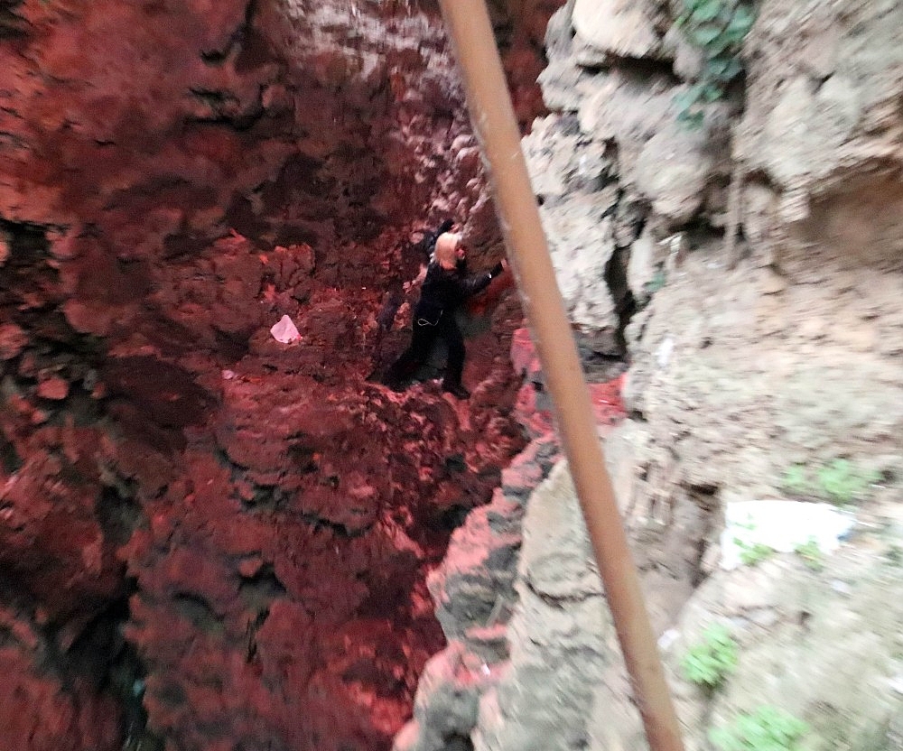 Kafasından yaralandı tedaviyi kabul etmeyip kayalıklara tırmandı! (Videolu)