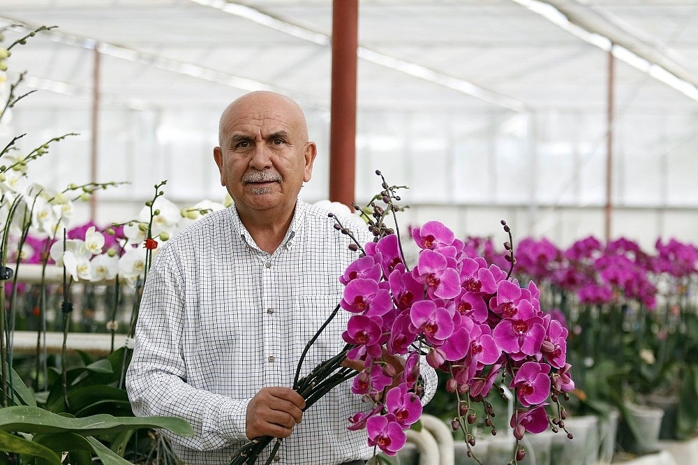 Sevgililerin orkidesi Antalya'dan