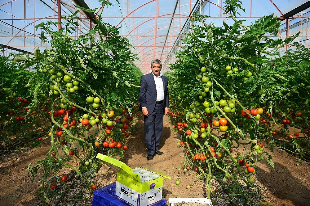 Üreticilerden hormon ve ilaç kalıntısı tepkisi