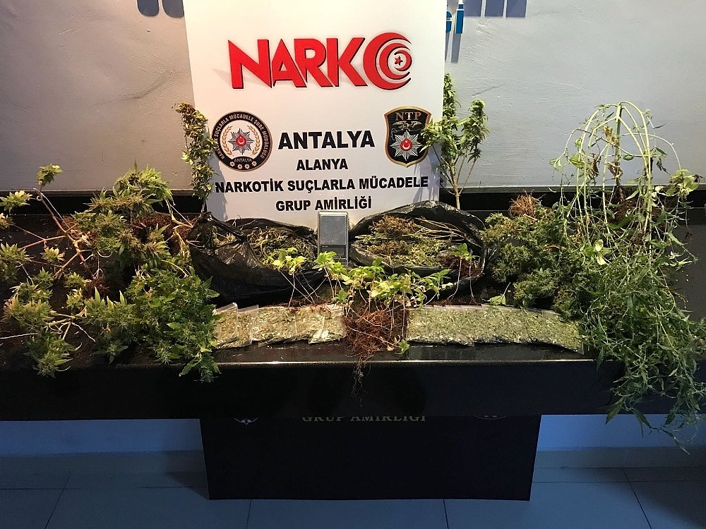 Alanya'da uyuşturucu operasyonu!