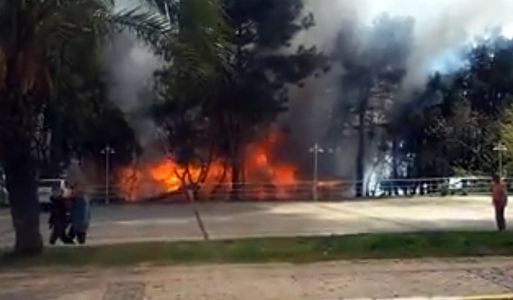 Antalya Atatürk Parkı'nda korkutan yangın! (Videolu)