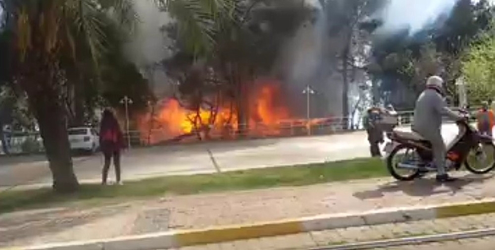 Antalya Atatürk Parkı'nda korkutan yangın! (Videolu)