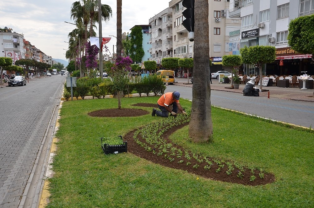 Alanya'ya 300 bin çiçek