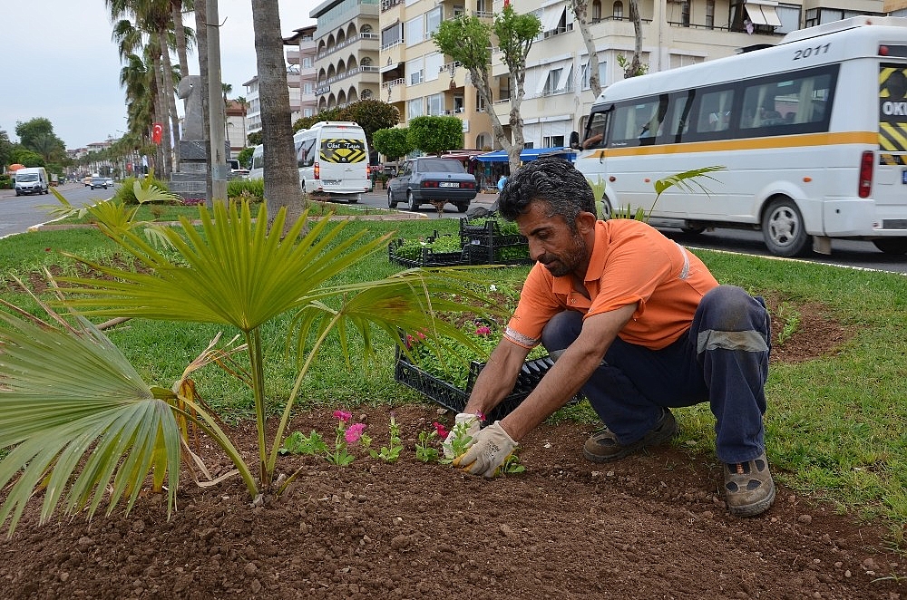 Alanya'ya 300 bin çiçek