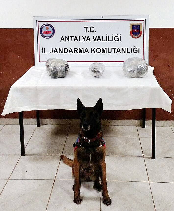 Antalya'da 10 terör örgütü üyesi yakalandı!