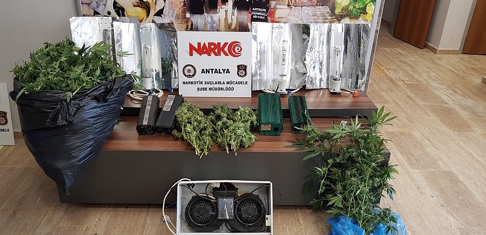 Antalya'da esrar maddesi ve hint keneviri ele geçirildi!