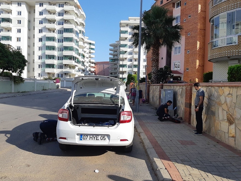 Alanya'da yılan paniği!