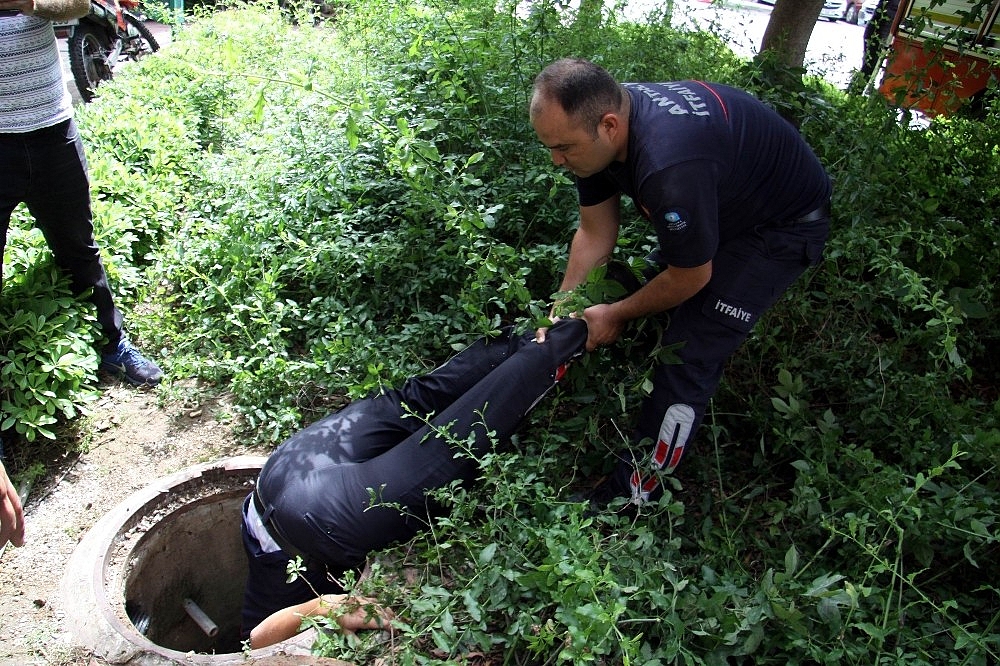 Antalya'da hastanede kedi kurtarma seferberliği!