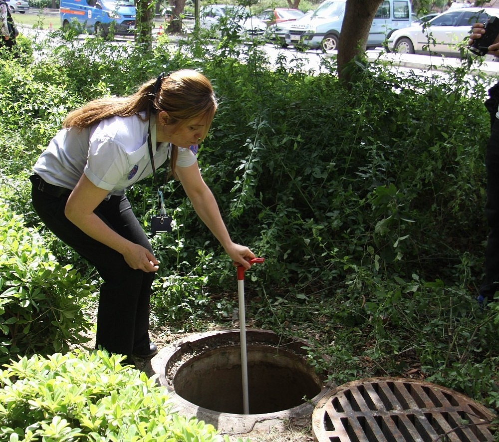 Antalya'da hastanede kedi kurtarma seferberliği!
