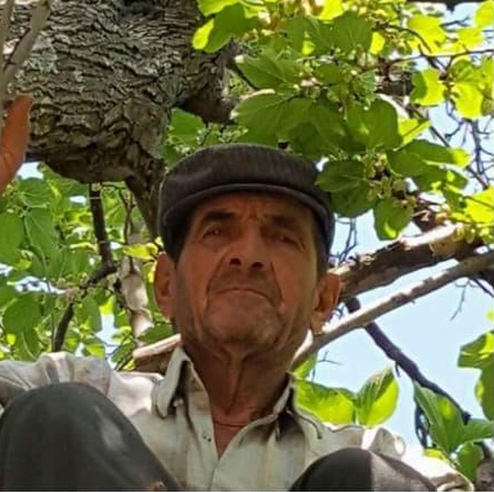 Antalya'da kamyonla çarpışan traktör ikiye bölündü: 1 ölü! (Videolu)