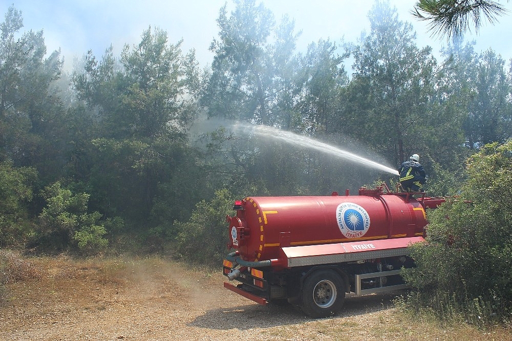 Antalya'da orman yangını!