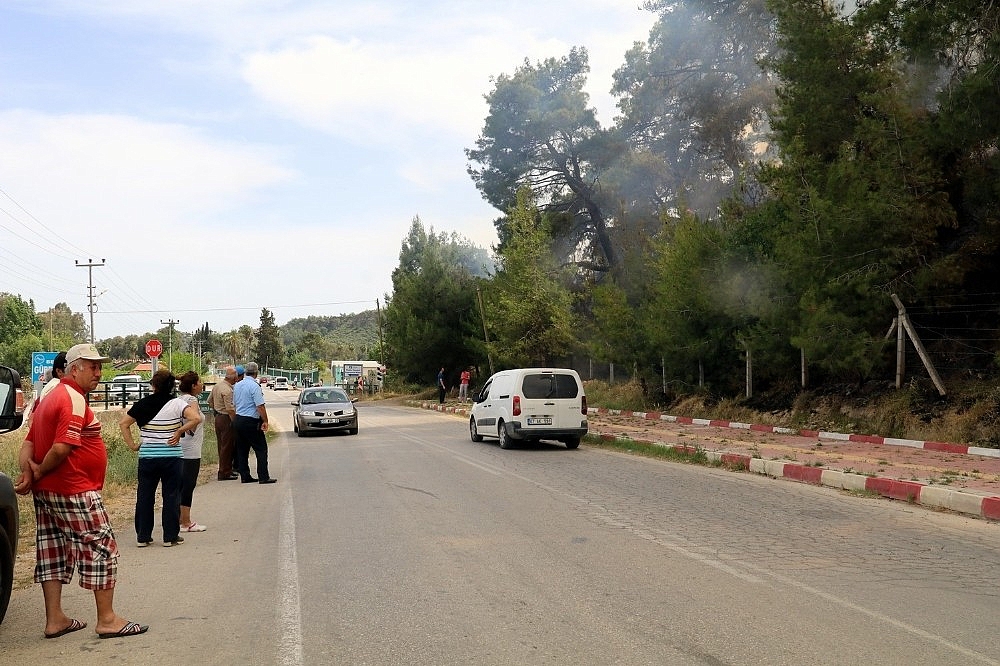 Antalya'da orman yangını!