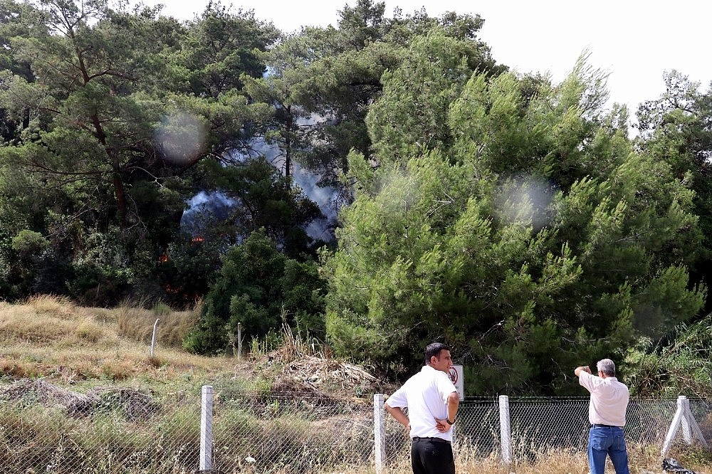Antalya'da orman yangını!