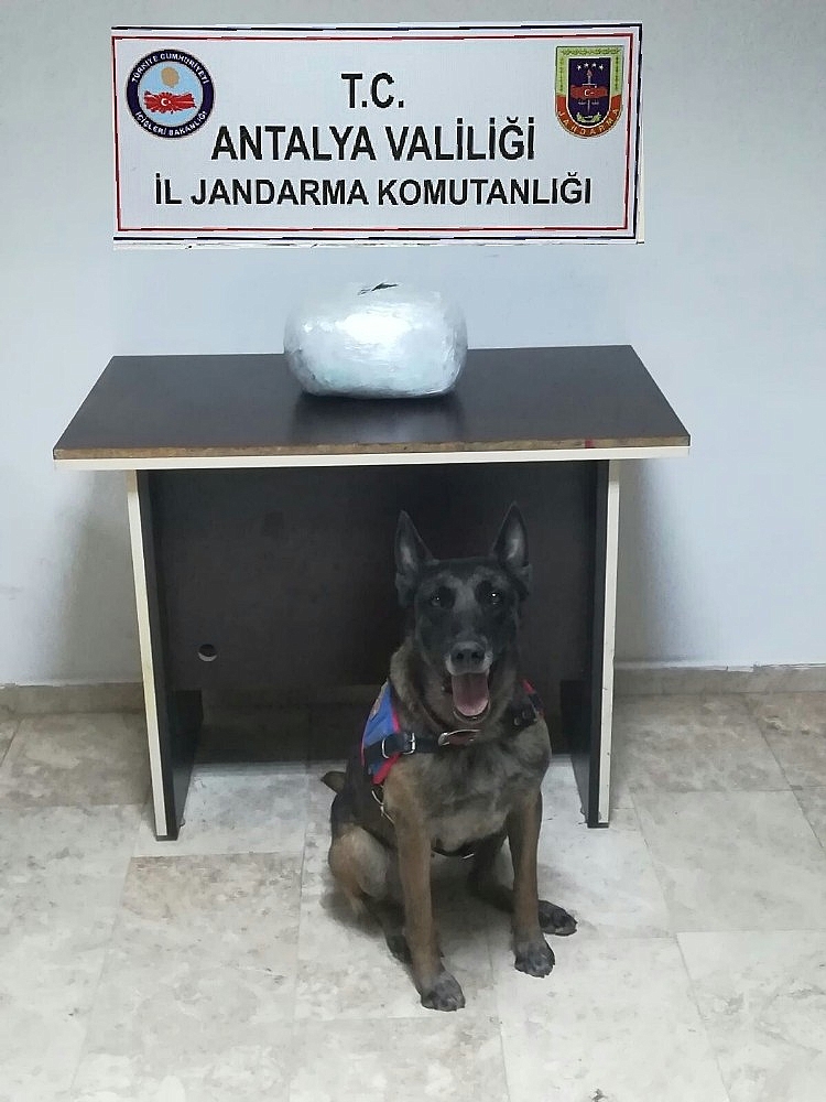 Antalya'da uyuşturucu operasyonu!