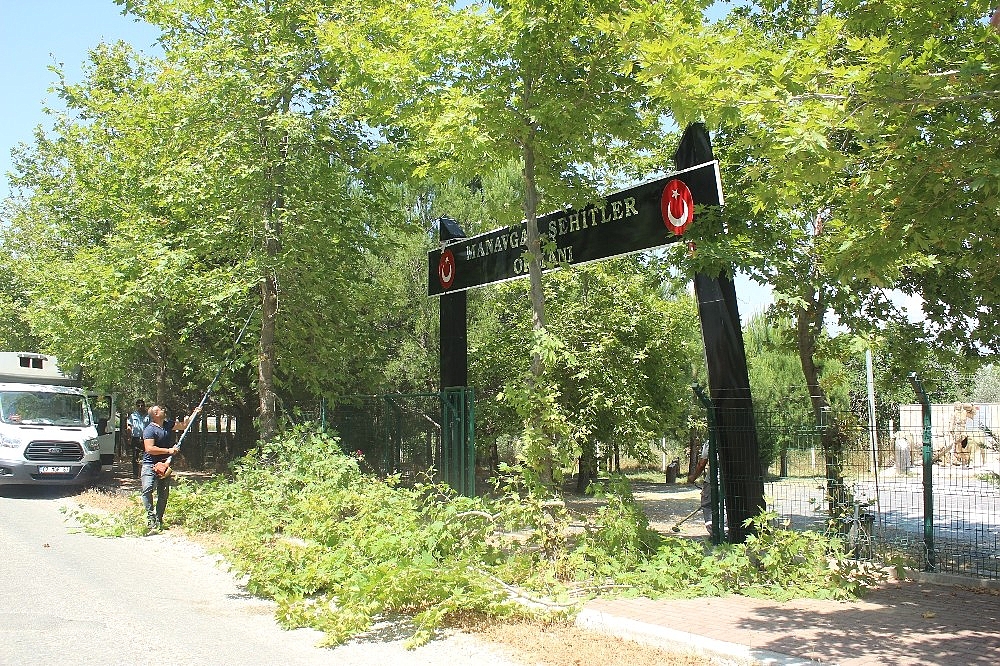 Büyükşehir Belediyesi, Şehitler Ormanı'na sahip çıktı (Videolu)