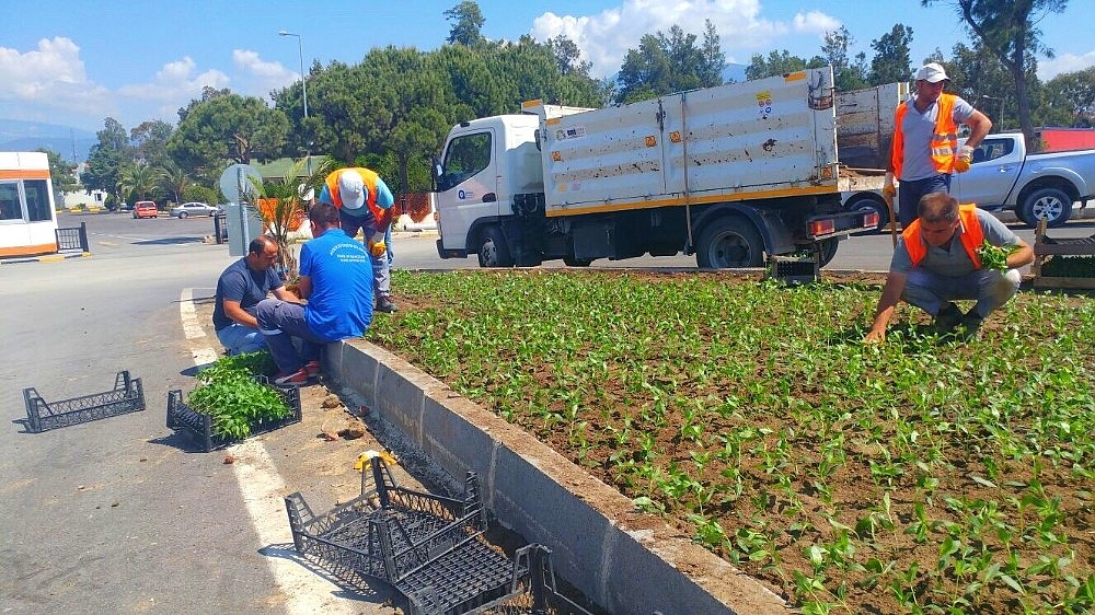 Finike caddeleri çiçeklerle donatıldı