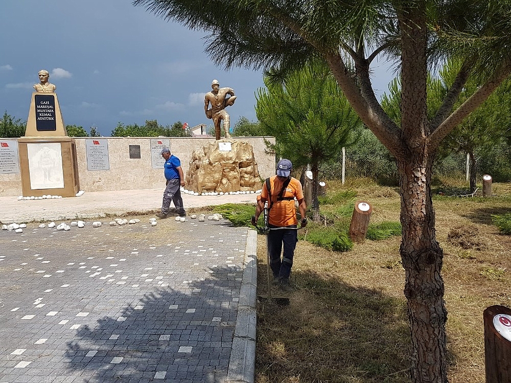 Manavgat Şehitler Ormanına bakım yapıldı (Videolu)