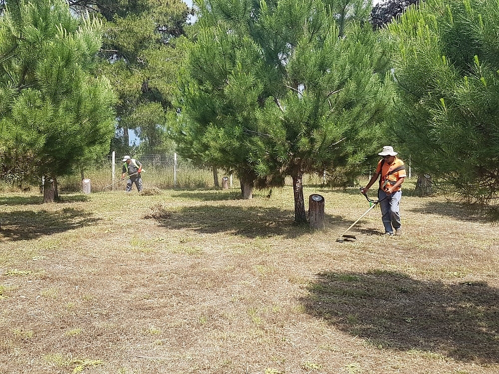 Manavgat Şehitler Ormanına bakım yapıldı (Videolu)