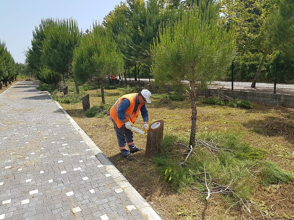 Manavgat Şehitler Ormanına bakım yapıldı (Videolu)